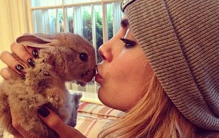 Fashion’s most prestigious pets