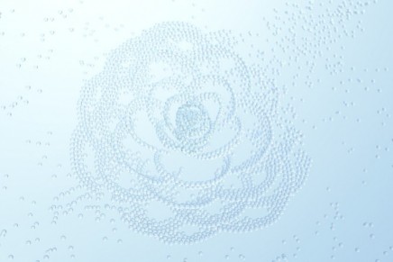 The 1st cream with Camellia micro-droplets: a dive into the strength of micro-hydration
