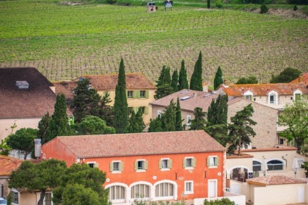 France’s leader in biodynamic wine production awarded Best Vineyard Experience