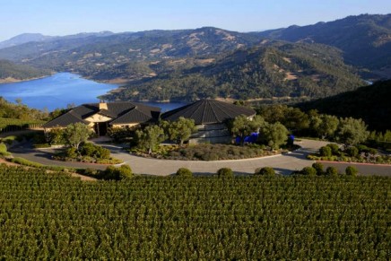 Limited-production Napa Valley Red Wines join the LVMH luxury group