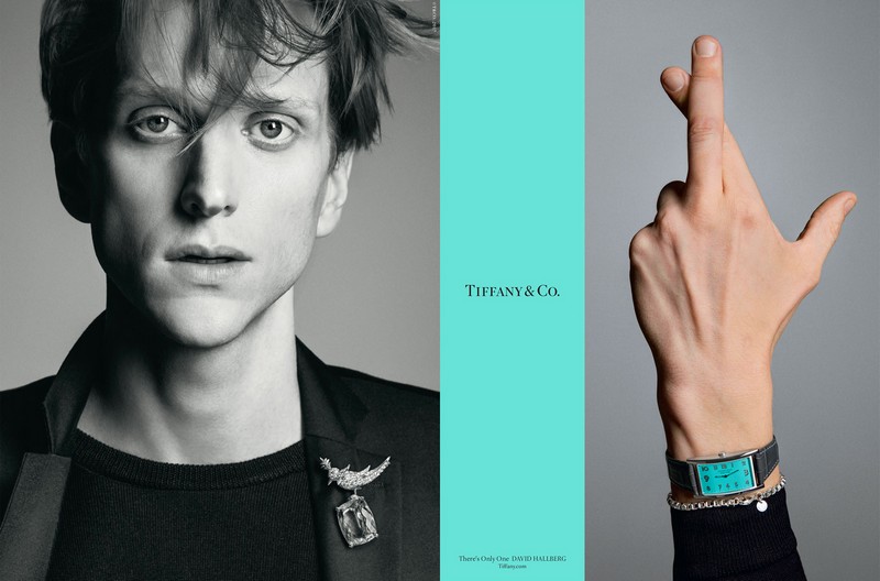 David Hallberg is wearing the Tiffany & Co. Schlumberger Bird on a Rock clip