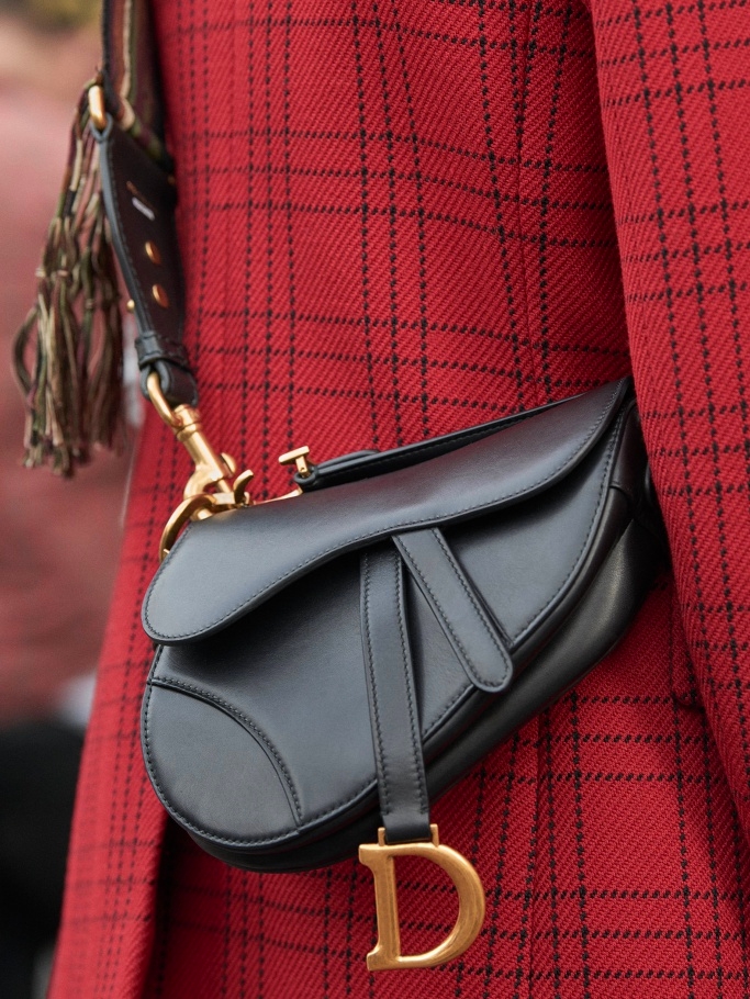 Dior Brought Back Logo Saddle Bag Fall 2018 - Dior Saddle Bags