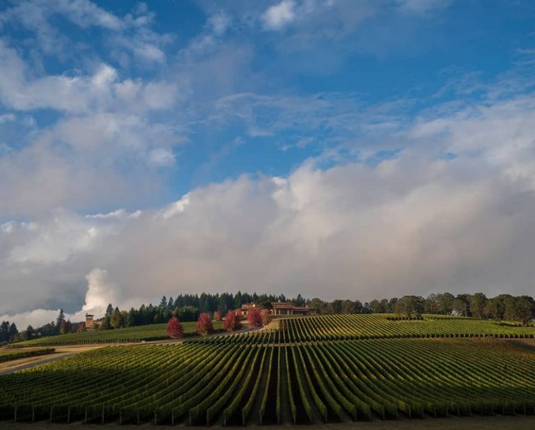 Luxury Recommendation