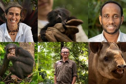 2020 Green Oscars Winners: Meet The Extraordinary Conservationists Saving Endangered Animals