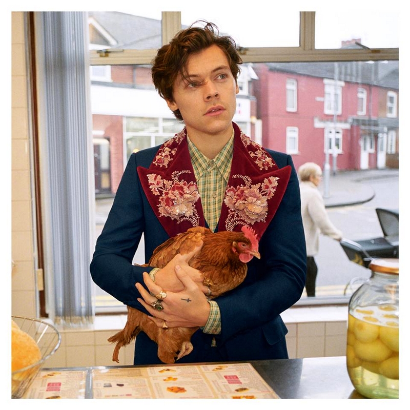 Harry Styles walks in a chippy the traditional British fish and chip shop—carrying a pet chicken