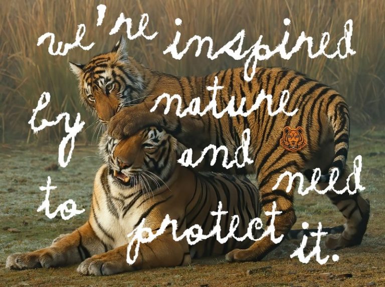 Luxury Recommendation