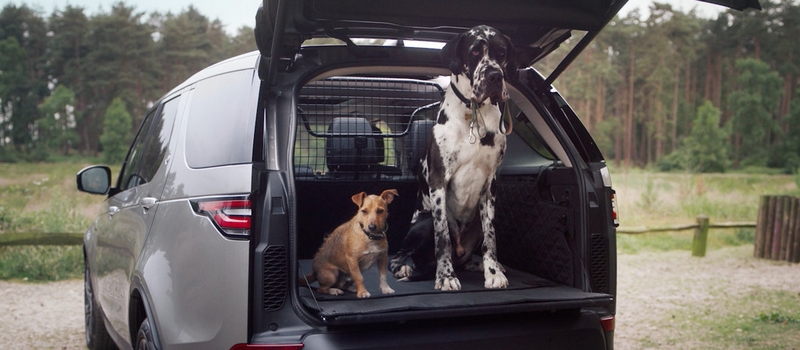 LAND ROVER’S FIVE-STAR DOG-FRIENDLY PET PACKS