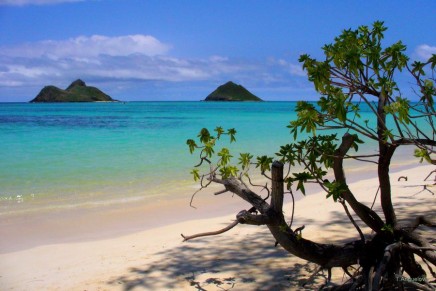 Baia do Sancho in Fernando de Noronha, Brazil is the #1 beach in the world