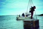 Veuve Clicquot Cellar in the Sea. The ageing secrets of the Baltic Sea.