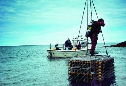 Veuve Clicquot Cellar in the Sea. The ageing secrets of the Baltic Sea.