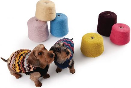 Missoni x Poldo Dog Couture will make your four-legged friend stand out from the pack
