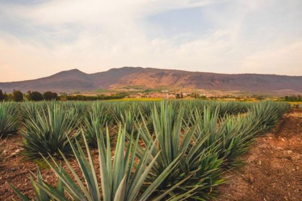 The first new addition to Patrón’s core range of luxury tequilas in quarter-century