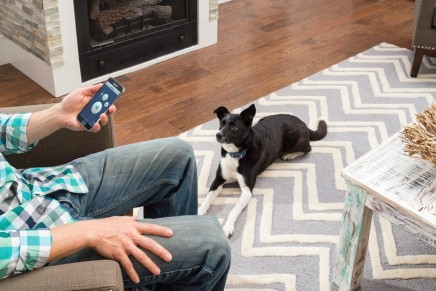 How to Teach Your Dog Good Manners. Dog Training Goes Digital