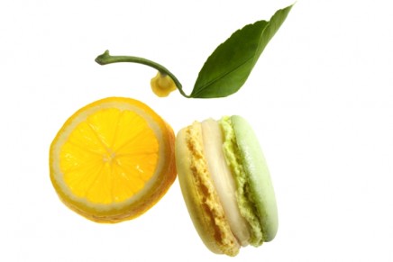 Macaron of the Month: Lemon Zeste d’onctuosité