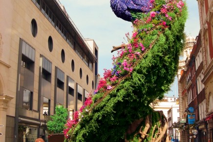 Glamorous and larger than life Preston Bailey large outdoor garden peacock