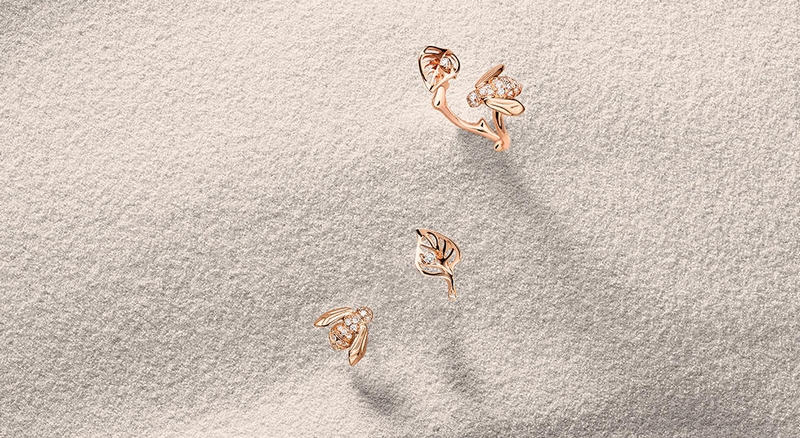 rose dior pre catelan