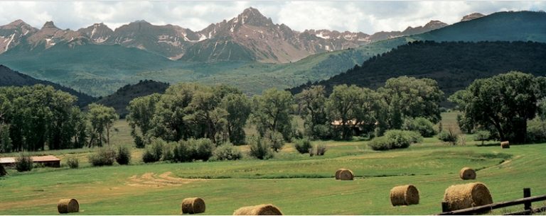 Luxury Recommendation