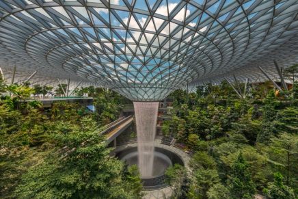 Gardens, waterfalls, parks… what is happening to our airports?