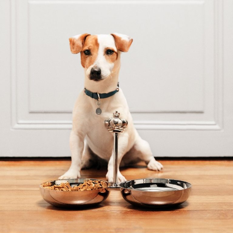 Luxury Recommendation