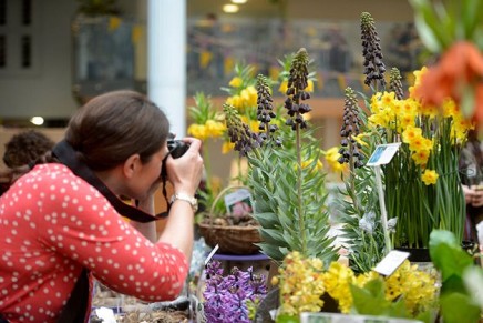 Harrods planting a Fragrance Garden @ Chelsea Flower Show