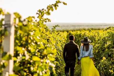 How to Plan the Perfect Wine Tasting Weekend