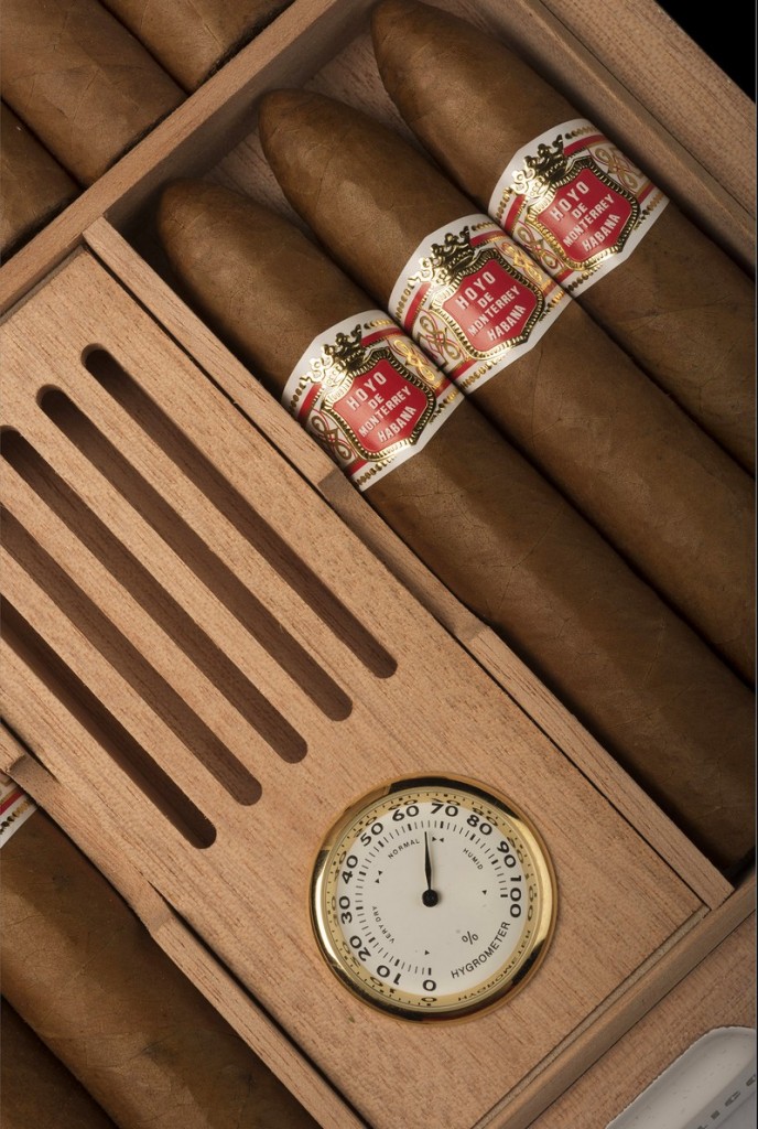 THE HOYO DE MONTERREY PETIT BELICOSOS box