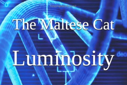 Luminosity – The Fifth Book in The Maltese Cat Book Series is Here