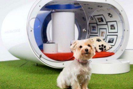 The ultimate #HomeDog: The dream doghouse for pampered pooches