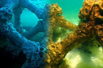 The world’s largest 3D printed coral reef installed in the Maldives