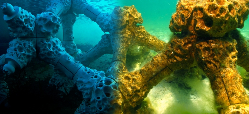The world’s largest 3D printed coral reef is to be homed the Maldives-