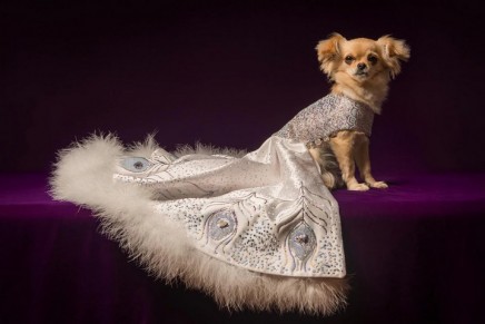 The World’s Most Expensive Presents review – a ballgown for your dog, anyone?