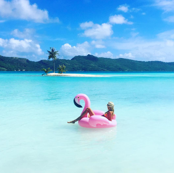 a flamingo in French Polynesia