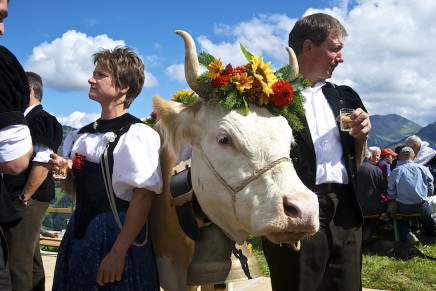 Halving meat and dairy consumption could slash farming emissions