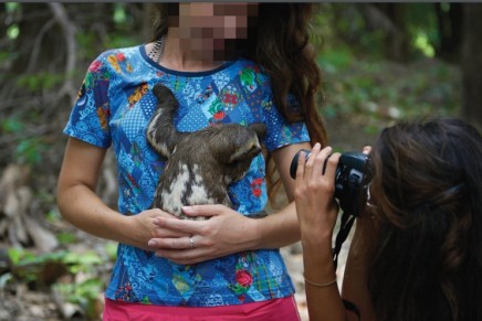 ‘It’s scary’: wildlife selfies harming animals, experts warn