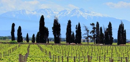 Are biodynamic products worth the money?