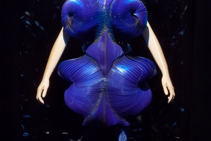 Bjork’s unique stage costumes up for auction