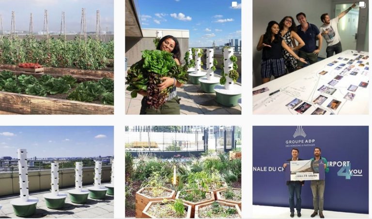 Luxury Recommendation