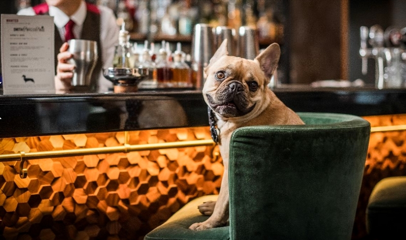 dog-friendly bar smithandwhistle london