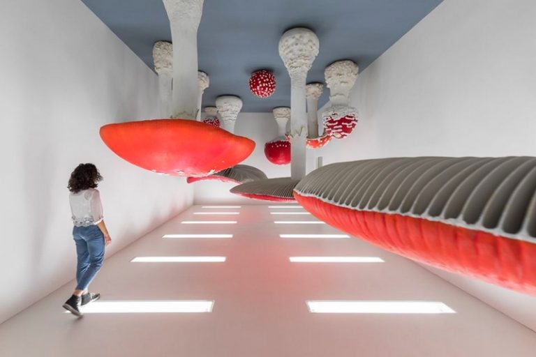 Luxury Recommendation