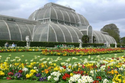 Budget cuts threaten Kew Gardens’ world-class status