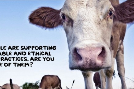 Is being vegan the most ethical way to live?