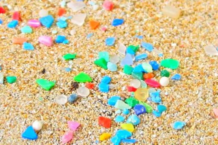 Microplastics should be banned in cosmetics to save oceans, MPs say