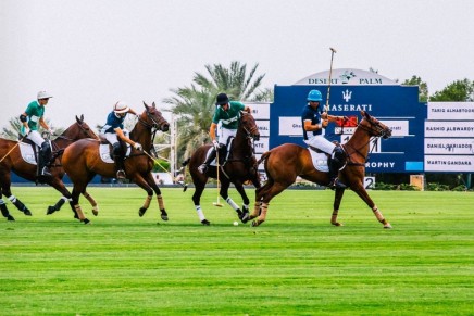 Escheatment: Maltese Cat Book Series. Chapter 26 Sunday – Polo Field in Petaluma