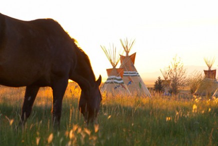 Wild horses and eco-luxury in Nevada