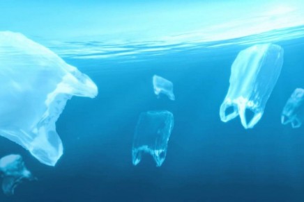 The eco guide to plastic bags