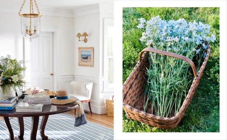 Luxury Recommendation