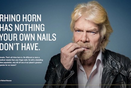 Richard Branson fronts nail-biting campaign against rhino poaching