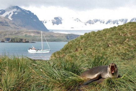 Conservationists call for UK to create world’s largest marine reserve