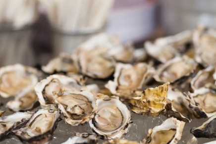 UK’s first sustainable European oysters go on sale