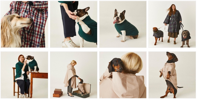 8 Canvas Fashion Designer & Celebrity Pet Dogs, Шапка в стилі louis  vuitton